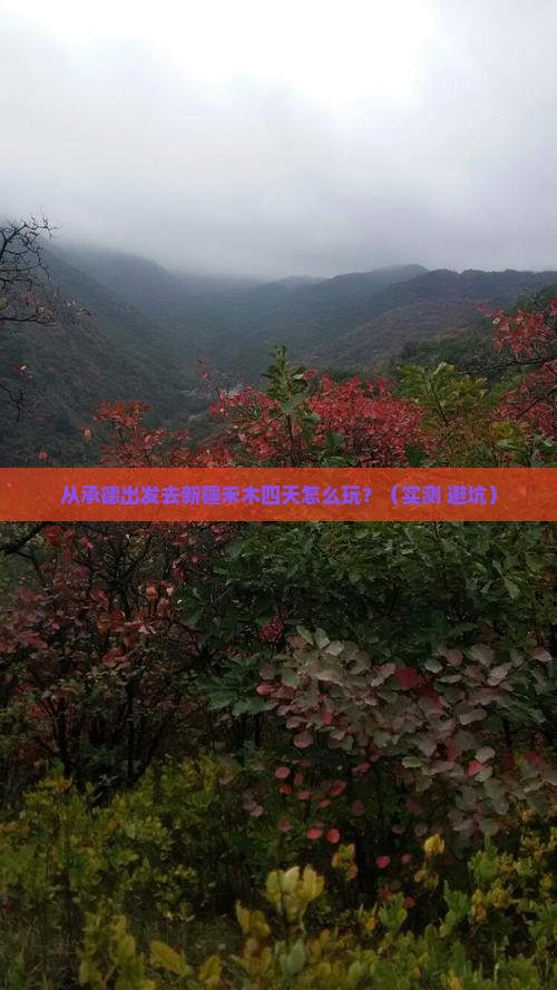 承德去新疆禾木四日游