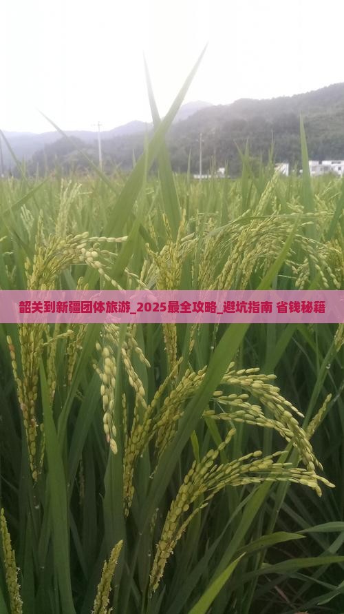 韶关到新疆团体旅游