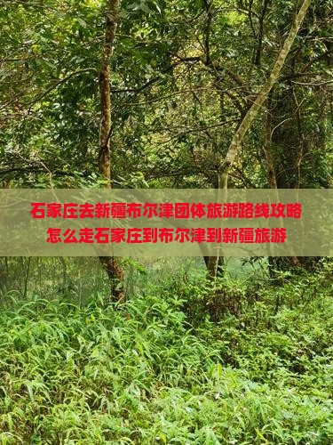 石家庄去新疆布尔津团体旅游