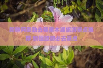 阿泰勒去新疆赛里木湖哪里玩