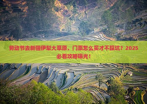 劳动节到新疆伊犁大草原门票
