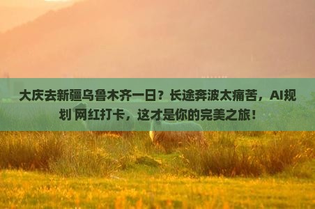 大庆去新疆乌鲁木齐一日
