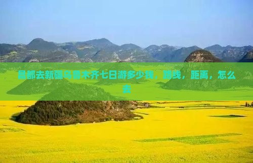 昌都去新疆乌鲁木齐七日游