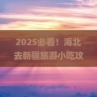 海北去新疆旅游小吃