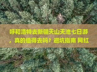 呼和浩特去新疆天山天池七日游