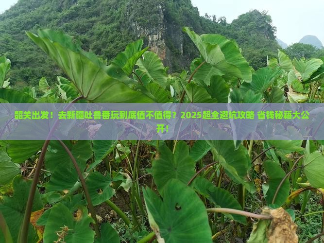 韶关到新疆吐鲁番大型旅游团