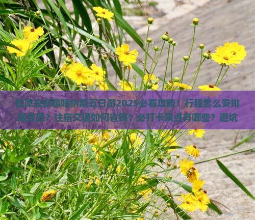 松原去新疆喀纳斯五日游