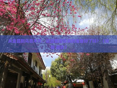 金昌去新疆乌鲁木齐旅游