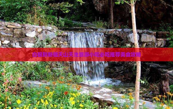 白银到新疆天山天池旅游小吃