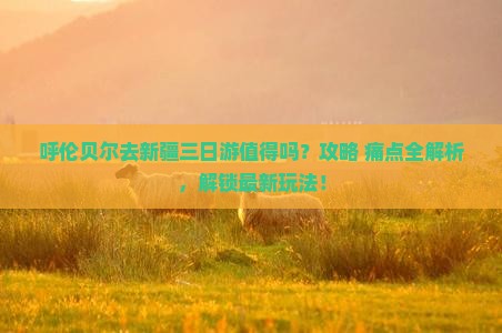 呼伦贝尔去新疆三日游