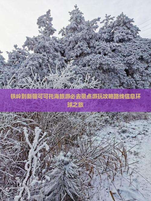 铁岭到新疆可可托海旅游必去景点游玩攻略路线信息环球之旅