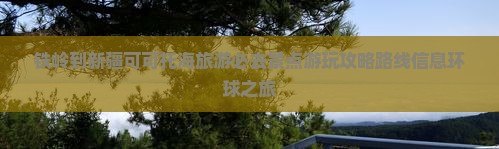 铁岭到新疆可可托海旅游必去景点游玩攻略路线信息环球之旅