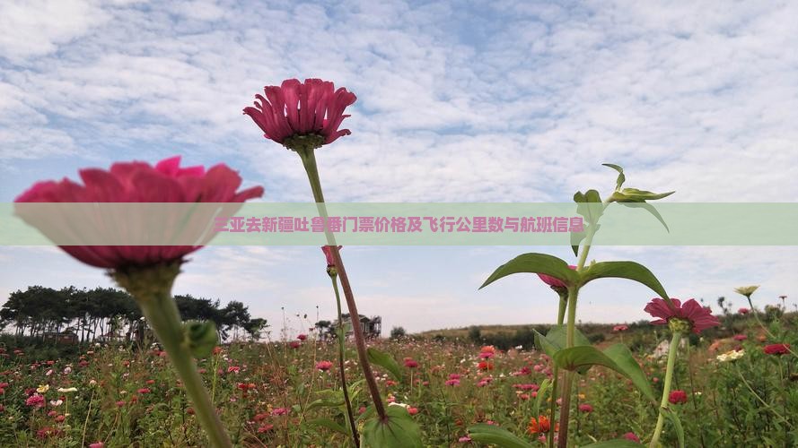 三亚去新疆吐鲁番门票价格及飞行公里数与航班信息