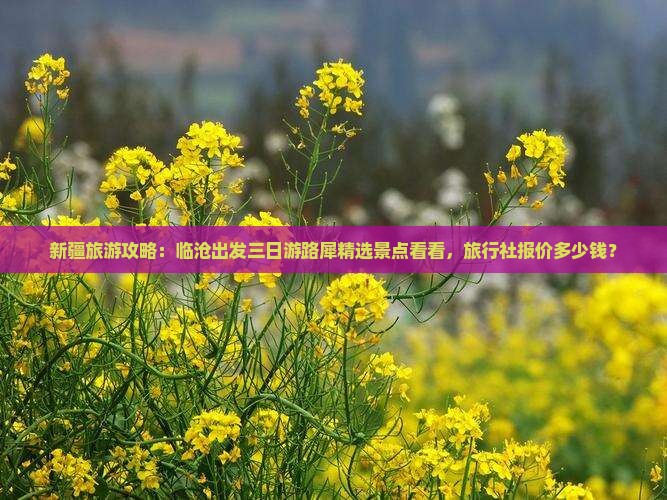 新疆旅游攻略：临沧出发三日游路犀精选景点看看，旅行社报价多少钱？