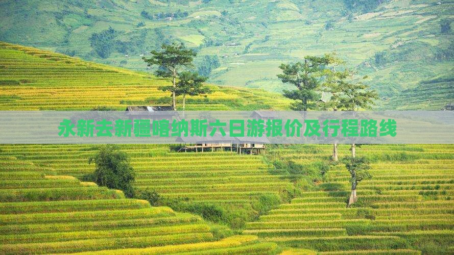 永新去新疆喀纳斯六日游报价及行程路线