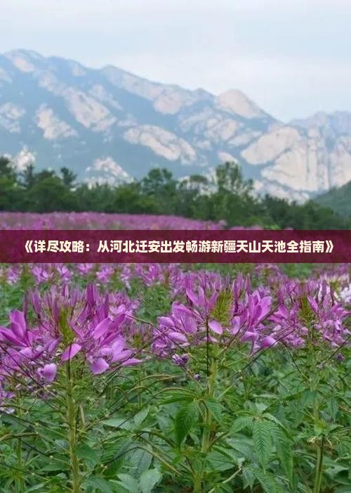 《详尽攻略：从河北迁安出发畅游新疆天山天池全指南》