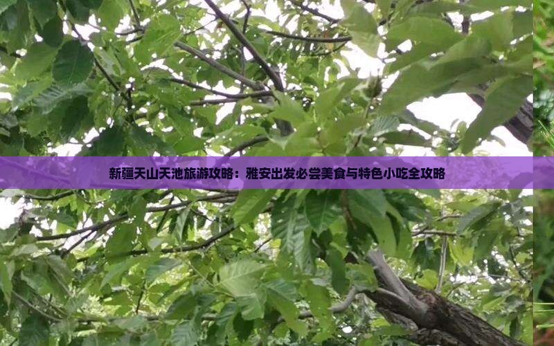 新疆天山天池旅游攻略：雅安出发必尝美食与特色小吃全攻略