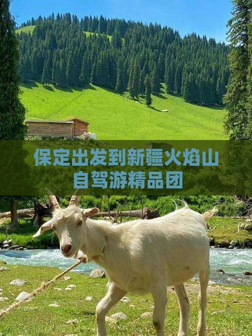 保定出发到新疆火焰山自驾游精品团