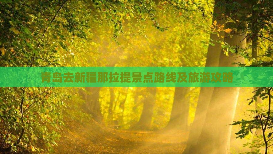 青岛去新疆那拉提景点路线及旅游攻略