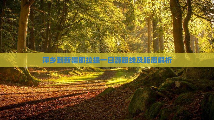萍乡到新疆那拉提一日游路线及距离解析