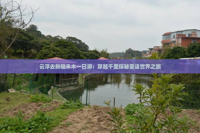 云浮去新疆禾木一日游：穿越千里探秘童话世界之旅