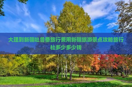 大理到新疆吐鲁番旅行费用新疆旅游景点攻略旅行社多少多少钱