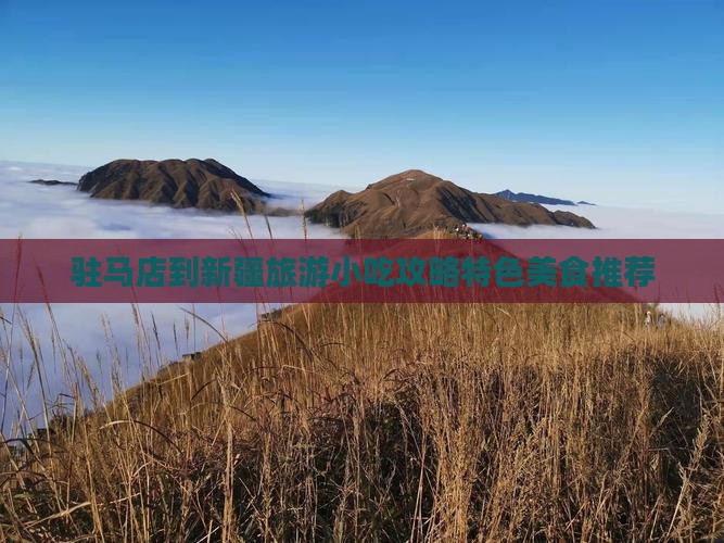 驻马店到新疆旅游小吃攻略特色美食推荐