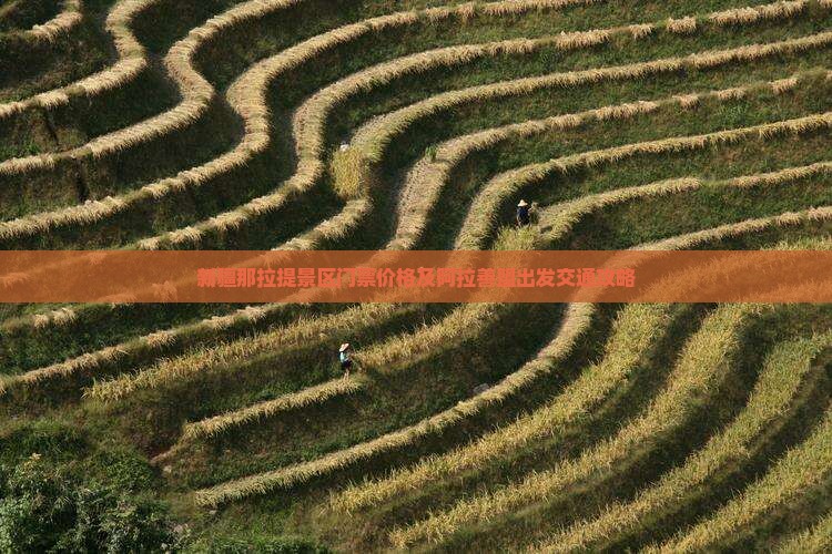 新疆那拉提景区门票价格及阿拉善盟出发交通攻略