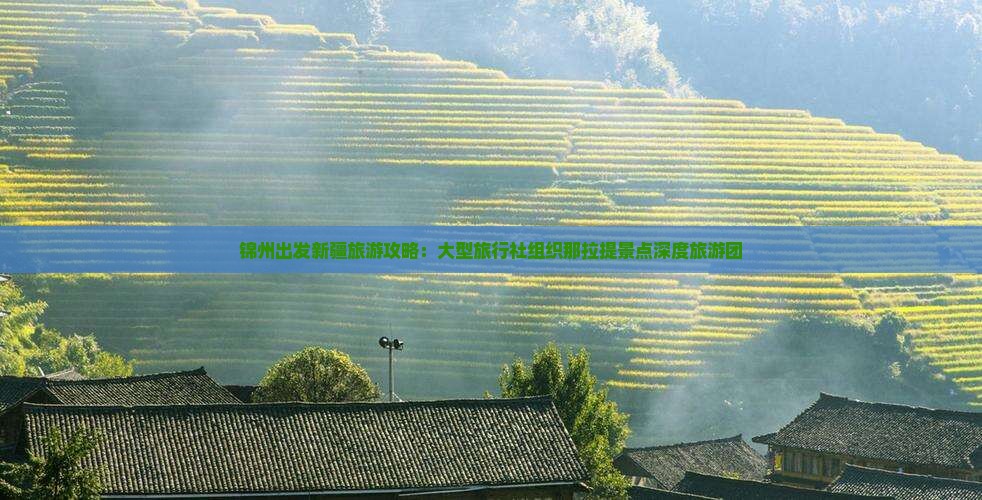 锦州出发新疆旅游攻略：大型旅行社组织那拉提景点深度旅游团