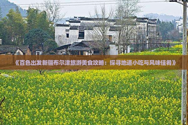 《百色出发新疆布尔津旅游美食攻略：探寻地道小吃与风味佳肴》