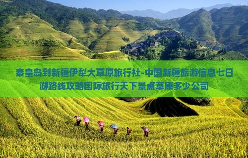 秦皇岛到新疆伊犁大草原旅行社-中国新疆旅游信息七日游路线攻略国际旅行天下景点草原多少公司