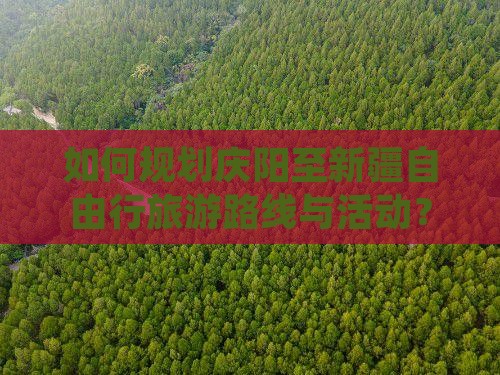 如何规划庆阳至新疆自由行旅游路线与活动？