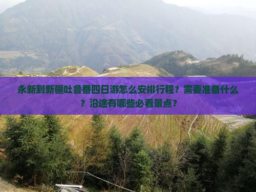 永新到新疆吐鲁番四日游怎么安排行程？需要准备什么？沿途有哪些必看景点？