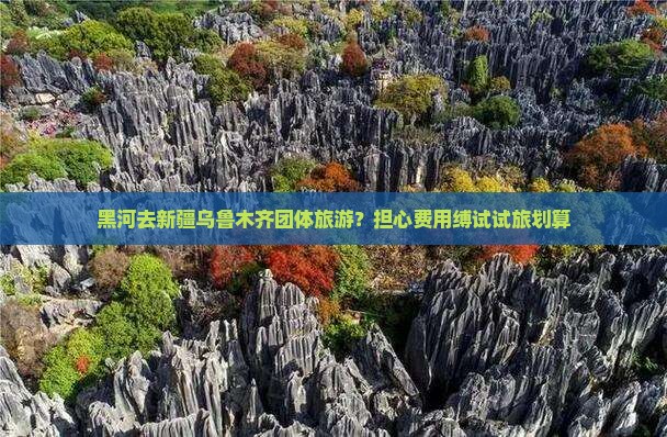黑河去新疆乌鲁木齐团体旅游？担心费用缚试试旅划算