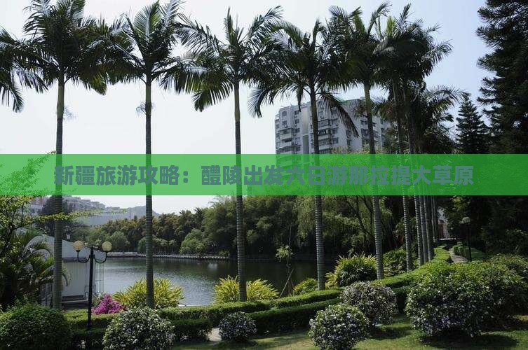 新疆旅游攻略：醴陵出发六日游那拉提大草原