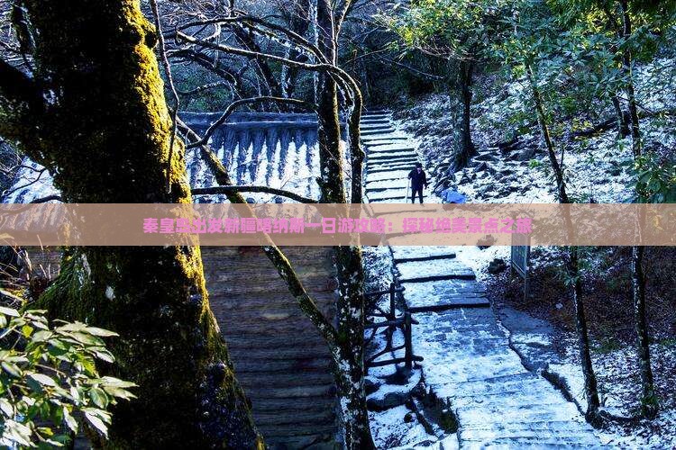秦皇岛出发新疆喀纳斯一日游攻略：探秘绝美景点之旅