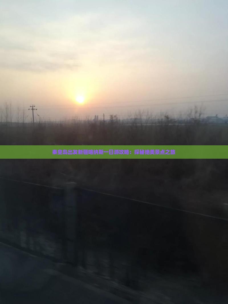 秦皇岛出发新疆喀纳斯一日游攻略：探秘绝美景点之旅