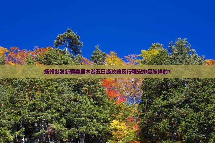 扬州出发新疆赛里木湖五日游攻略及行程安排是怎样的？