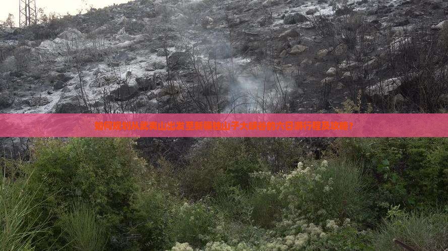 如何规划从武夷山出发至新疆独山子大峡谷的六日游行程及攻略？