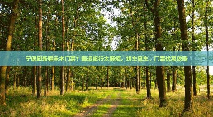 宁德到新疆禾木门票？偏远旅行太麻烦，拼车包车、门票优惠攻略