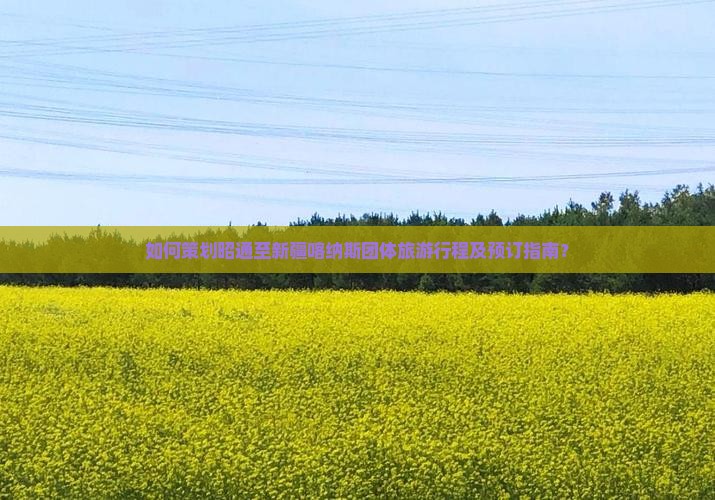 如何策划昭通至新疆喀纳斯团体旅游行程及预订指南？