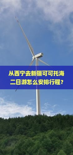 从西宁去新疆可可托海二日游怎么安排行程？需要多长时间？费用大概是多少？