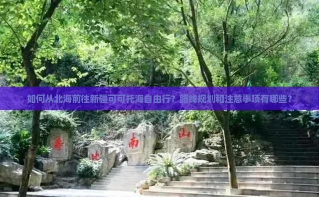 如何从北海前往新疆可可托海自由行？路线规划和注意事项有哪些？