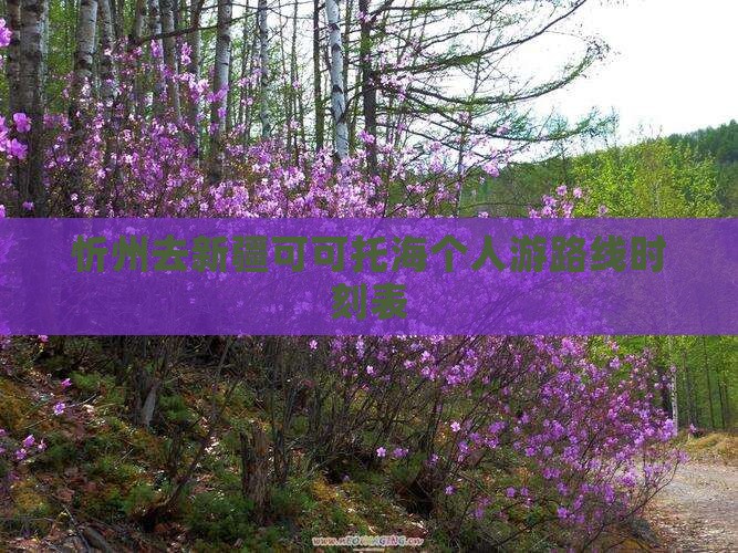 忻州去新疆可可托海个人游路线时刻表