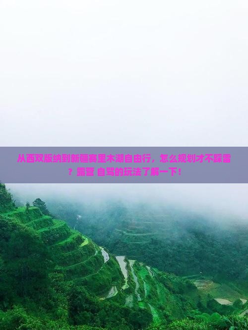 从西双版纳到新疆赛里木湖自由行，怎么规划才不踩雷？露营+自驾的玩法了解一下！