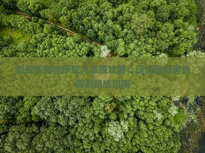 延安去新疆伊犁大草原攻略：延安到新疆自驾游路线指南