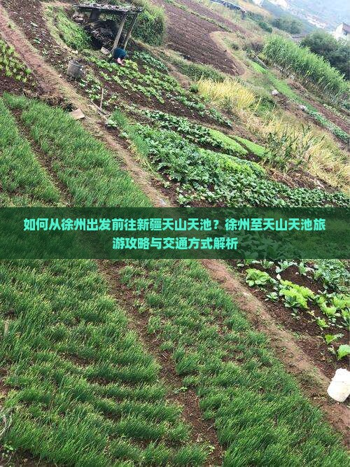 如何从徐州出发前往新疆天山天池？徐州至天山天池旅游攻略与交通方式解析