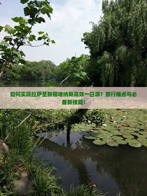 如何实现拉萨至新疆喀纳斯高效一日游？旅行痛点与必备新技能！