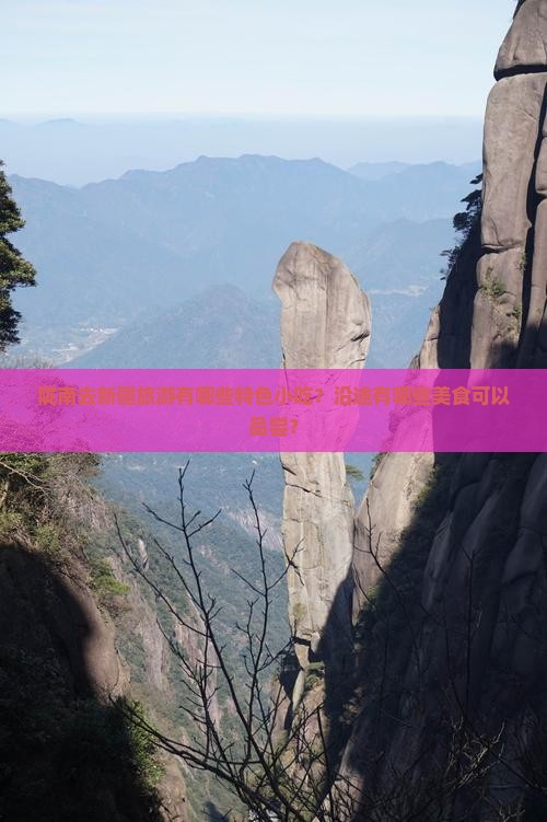陇南去新疆旅游有哪些特色小吃？沿途有哪些美食可以品尝？