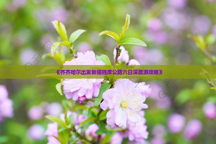 《齐齐哈尔出发新疆独库公路六日深度游攻略》